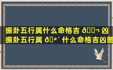 振卦五行属什么命格吉 🐬 凶（振卦五行属 🪴 什么命格吉凶图）